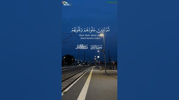 من سورة الزمر | بصوت الشيخ العفاسي | رابط الفيديو على قناتنا على تلجرام في اول تعليق#العفاسي#الزمر