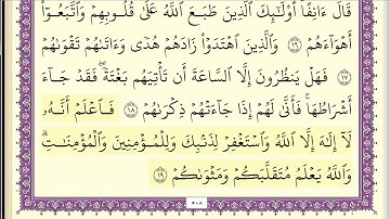 عبد الله بصفر سورة محمد مكتوبة