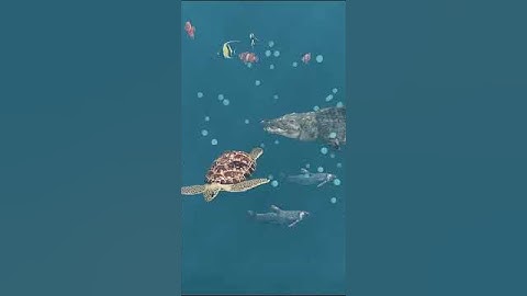 Is Turtle Bulletproof? | Amazing 3D Animation 🐢 #Shorts