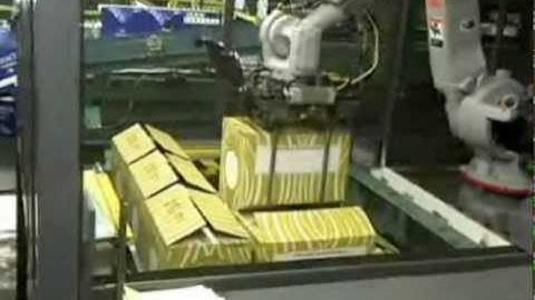 Robotic Box Palletizer