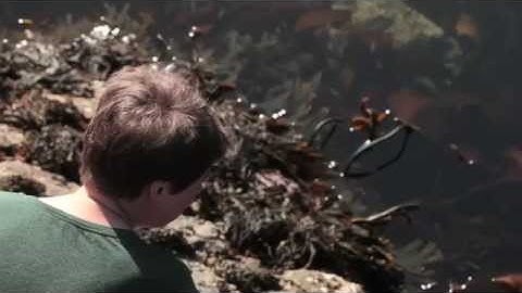 A Writing Life short film about the poet award winning poet Jen Hadfield