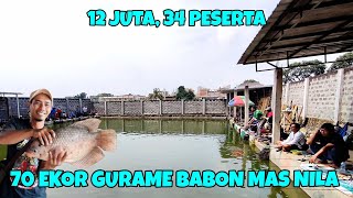 Sudah tidak di ragukan lagi dengan kolam borongan ini‼️sopasti ikan'nya babon babon