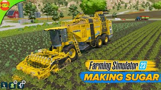 Harvesting Sugarbeat and Making Sugar | Farming Simulator 23 Mobile fs23 screenshot 4