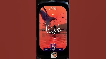 {وَوَرِثَ سُلَيْمَانُ دَاوُودَ} بصوت القارئ محمد أيوب عاصف🦜💚