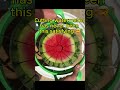 🍉 5-second watermelon cubes! #shorts #kitchenhacks #summerfinds