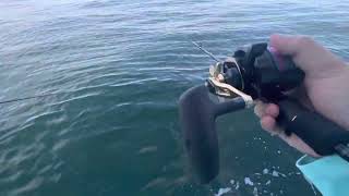 Slow pitch jigging for Black Seabass in Point Pleasant Beach, NJ ￼