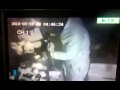 عصابة لسرقة المحلات التجارية في عمان Amman Jordan 