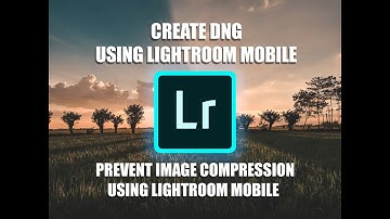 Create DNG Mobile Presets using Lightroom Mobile + Prevent Image Compression Android/iOS