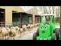 Tractor ted  hello ewe