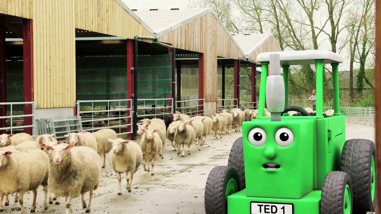 Tractor Ted - Hello Ewe! - YouTube