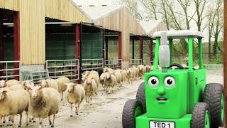 Tractor Ted - Hello Ewe! screenshot 4