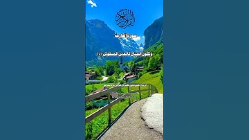 Surat:Al:Qaria :سورة القارعة With Urdu and Translation #Short Tilawat#Short