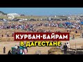 Курбан-Байрам в Дагестане. Мусульмане отмечают главный праздник Ислама