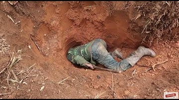 Dúi Nướng Nguyên Con Món Ăn Đặc Sản Dân Tộc Tây Bắc " phần 1 đào dúi"l Dân Tộc Tây Bắc