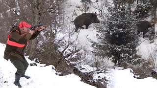 Hunting Serbia - Wild boar hunting | Lov divlje svinje - planina Goč Kraljevo | Caccia ai cinghiali