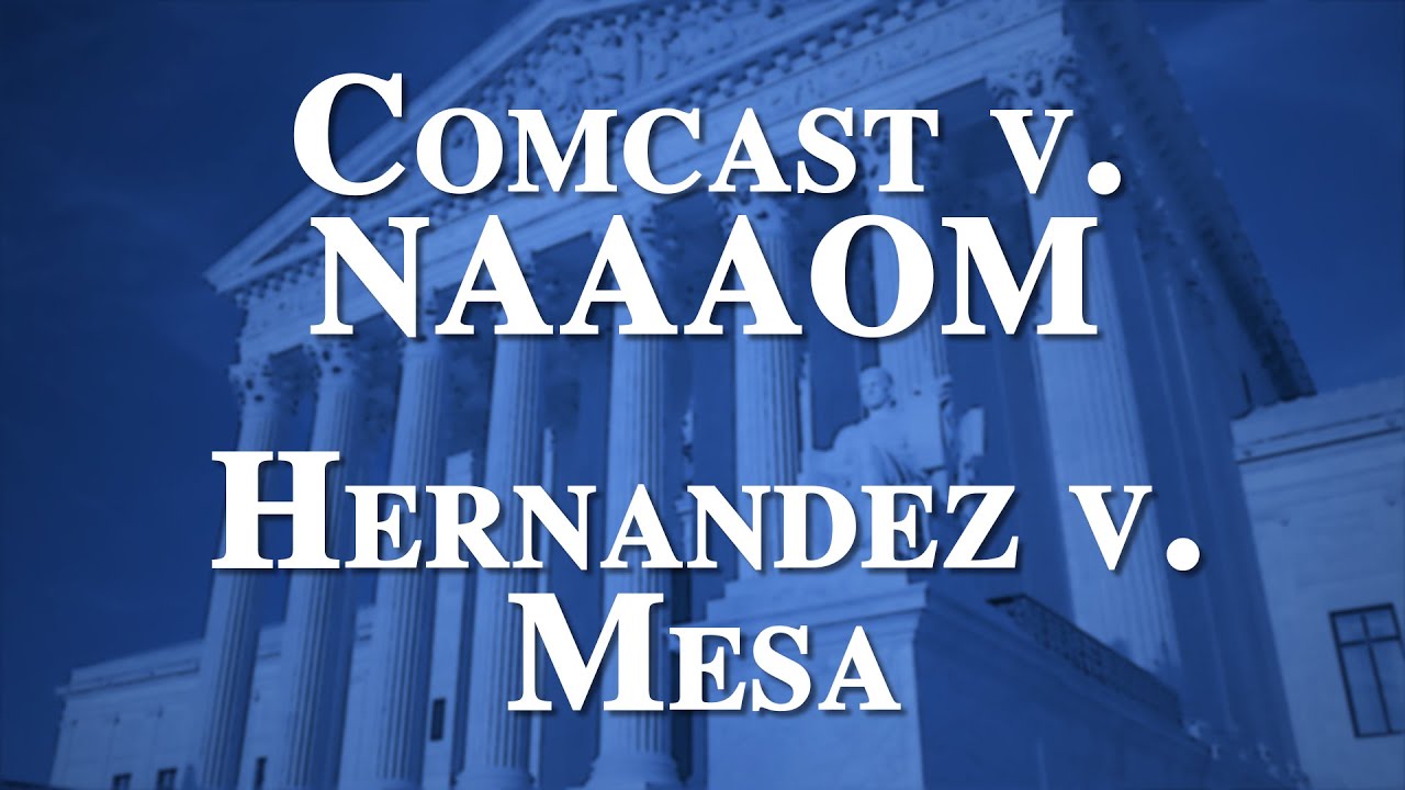 Term Talk (20192020) Comcast v. National Ass’n of African American