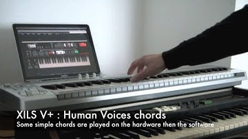 XILS V+ versus hardware : Human Voices