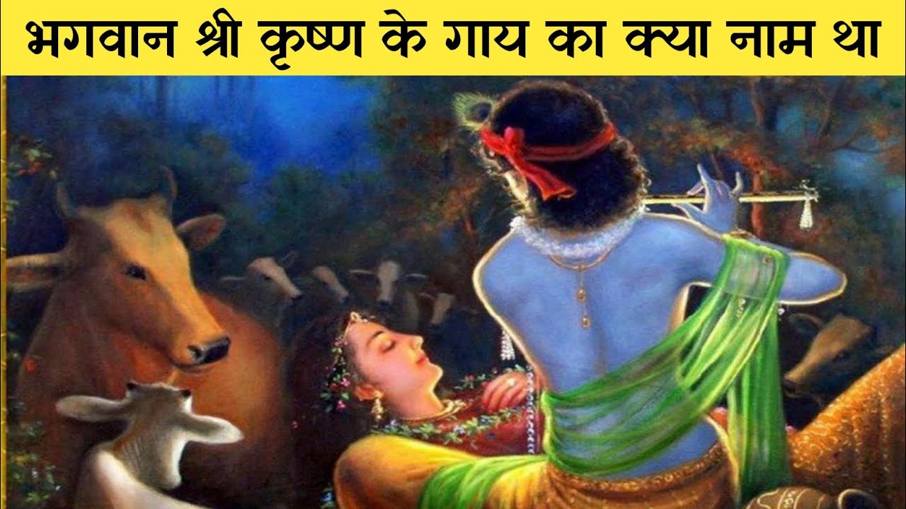 भगवान श्री कृष्ण के गाय का क्या नाम था Lord Krishna cow name Katha