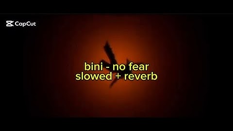 bini - no fear (slowed + reverbed)