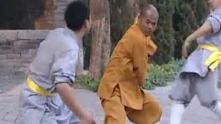 Shaolin Kung Fu: Taizu Chang Quan combat applications