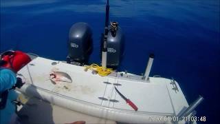 Key West - Teaching a disobedient barracuda not to eat our catch.