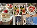 vlog》お腹も心も満たす社会人の暮らし🍰｜お花見お弁当・いちごのショートケーキ・トンテキ