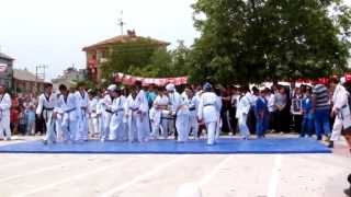 19 Mayis Teakvando Gösteri̇si̇ 2