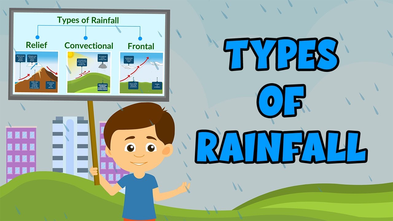 Rain where are you. Types of Rain for Kids. Different Types of Rain. Types of Rain.