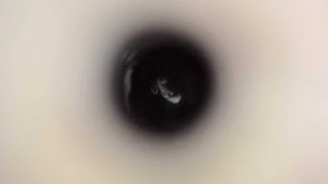 Andrea CAVALLARI - VORTEX TEMPORUM (trailer)