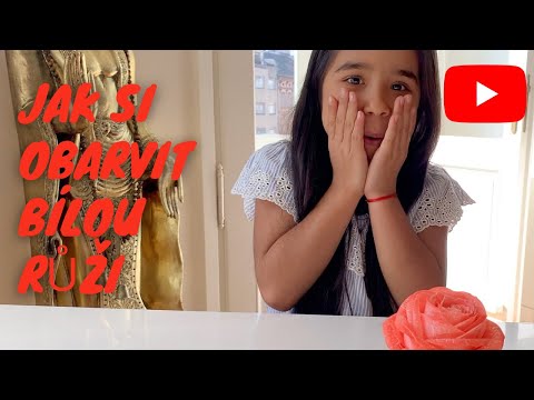 Video: Jak Barvit Růže