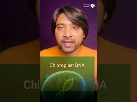 5 Mind-Blowing DNA