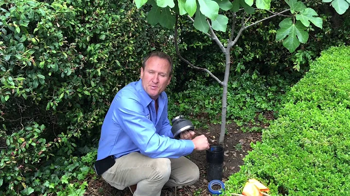 Find Sewer Odors With Smoke Testing