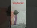 mis muñecos se teletransportan