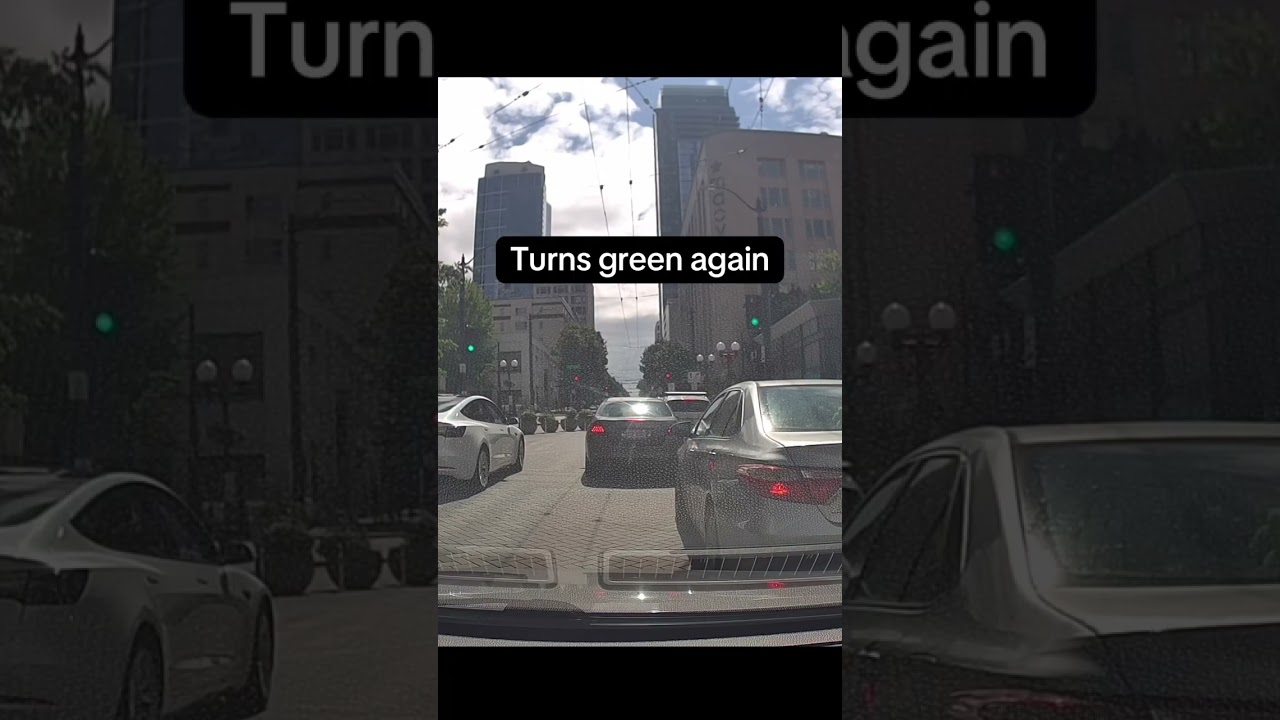 Seattle Zombie city, terrible drivers