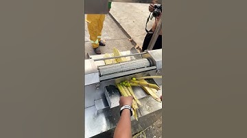 Máy ép nước mía 2 lô inox khổng lồ-model: TP500 - 2MAX #mayepmia #mayepmiatanphat #mayepmia2loinox