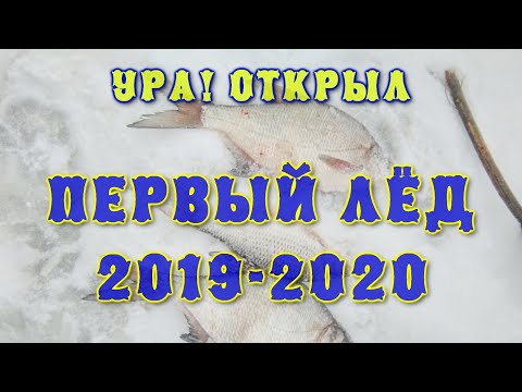 Первый лёд. Открытие сезона 2019 - 2020. Удачная рыбалка на безнасадку.