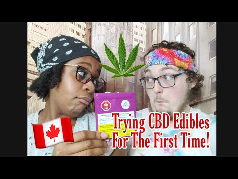 Pure Vera CBD Gummies: Purity Meets Wellness