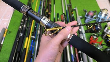 Video 861 : Máy Câu Shimano 2000 Đẹp - Cần Câu Sông Hồ & Biển | Đồ Câu Nhật Thành Công