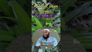Manfaat daun pandan || dr. Zaidul Akbar