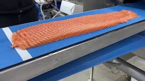 Borncut Portion Cutter - Salmon Sashimi