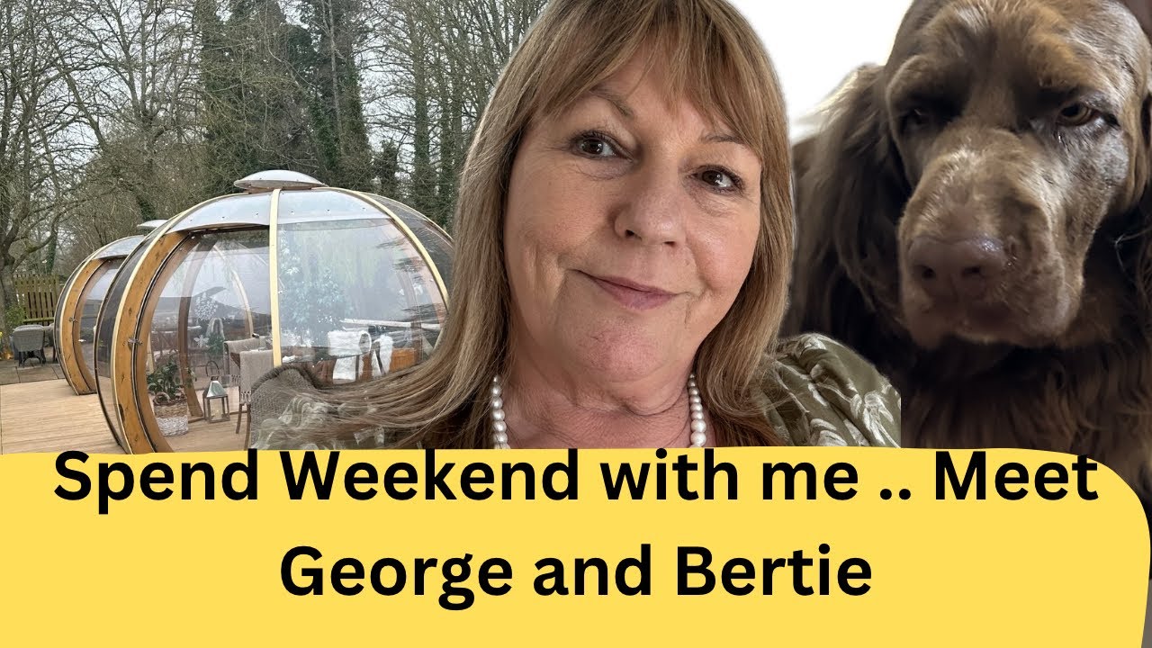 George, a friendly Suffolk Spaniel, meets some new friends at the pub💖 Cotswolds