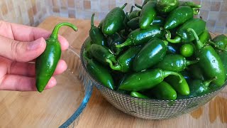 Bu Turşuyu Yapmadan Kişa Gi̇rmeyi̇n Çerez Gi̇bi̇ Yeni̇yor Mübarek Turşu Tari̇fi̇