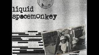 Liquid - Ghost Shadow Spacemonkey Album 2019