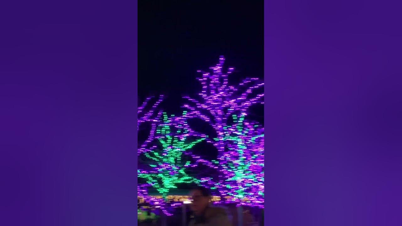 Zoo lights Chicago christmas chicago YouTube