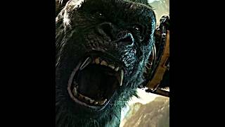 Godzilla  X Kong / The New Empire / Hookah Bar/4K  / Attitude Edit