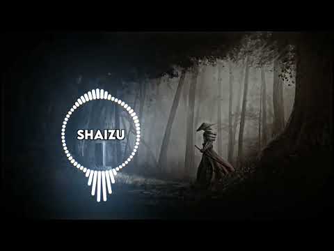 Fearless SLOWED REVERB Shaizushahroz