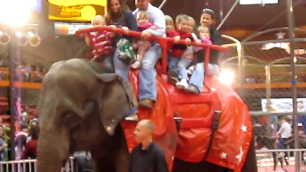 Circus Elephant Ride Youtube