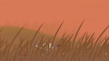 Lioness Running Animation