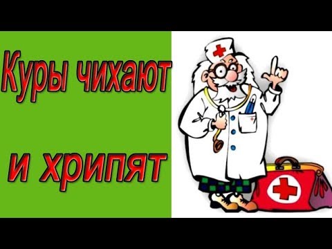 Ингаляция. Куры чихают и хрипят. Ингаляция однохлористым йодом