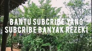 SUASANA KAMPUNG SAAT HUJAN DERAS